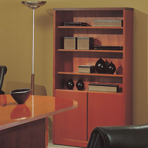 Office Bookcase, Wooden Bookcase with Doors